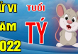 Tử vi năm 2022 tuổi Tý: Được thăng chức, cuối năm tiền bạc ồ ạt chảy vào túi