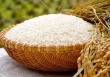 Giá lúa bất ngờ tăng 200 đồng/kg