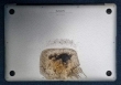 MacBook Pro tự nhiên bốc cháy khiến người dùng bị thương