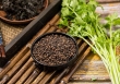 Giá tiêu giảm, chuyên gia mách nước nông dân hạn chế bán ra