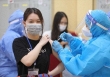 Cả nước có thêm 16.135 ca dương tính COVID-19 trong ngày 12/1, số ca tử vong giảm