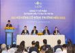 ĐHĐCĐ Novaland năm 2022: Tập trung ngành nghề cốt lõi, đảm bảo đà tăng trưởng bền vững