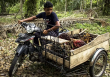 Lệnh cấm dầu cọ của Indonesia đe dọa lạm phát lương thực toàn cầu