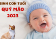 Năm 2023 có phải là năm tốt để sinh con không?