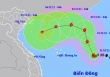 Bão Nalgae mạnh lên, đổi hướng di chuyển vào đất liền Việt Nam