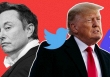 Tài khoản Twitter của ông Donald Trump được khôi phục