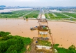 Cập nhật tiến độ thi công dự án cầu Vàm Cái Sứt, điểm kết nối quan trọng vùng phía Đông TP.HCM