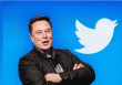 Elon Musk sẽ 'đại ân xá' cho các tài khoản Twitter bị khóa vào tuần tới