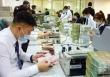 Ngân hàng đồng loạt giảm lãi suất huy động về 9,5%/năm