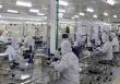 Vốn FDI đăng ký mới trong tháng đầu năm 2023 tăng 48,5%