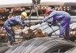 Giá quặng sắt Trung Quốc giảm do nhu cầu phục hồi chậm