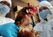 Viện Pasteur TP.HCM có công văn khẩn về giám sát viêm phổi nặng liên quan đến H5N1