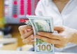 Doanh nghiệp ngoại kiến nghị NHNN bỏ trần tín dụng và lãi suất tiền gửi USD