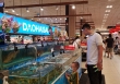 Tôm càng xanh vào mùa, tăng cao