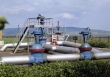 Giá gas hôm nay 12/6: Tăng hơn 1% vào sáng đầu tuần