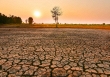 El Nino chính thức xuất hiện, khí hậu biến đổi khôn lường