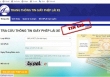 Cảnh báo nhiều website giả mạo tra cứu giấy phép lái xe