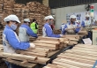 Doanh nghiệp xuất khẩu không nên bỏ qua thị trường ngách