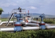 Giá gas trong nước và thế giới đồng loạt tăng