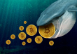 Có bao nhiêu cơ hội để ETF Bitcoin giao ngay được phê duyệt trong năm nay?