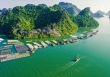 Quần thể Vịnh Hạ Long-Quần đảo Cát Bà là Di sản Thiên nhiên Thế giới
