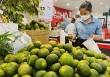 Thực phẩm hôm nay 27/9: Một số loại nông sản tăng giá