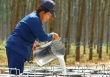 Xuất khẩu cao su tháng 9/2023 tăng về lượng, giảm về giá trị