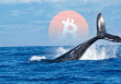 Cá voi tiền điện tử đang gom token nào?