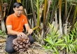 Mô hình kinh tế xanh nhìn từ Cần Giờ