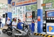 Chính phủ chỉ đạo hoàn thiện nghị định về kinh doanh xăng dầu