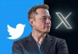 Giá trị của X giảm hơn 50% kể từ khi về tay Elon Musk