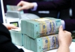 Dòng tiền sẽ đi về đâu?