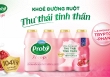 Tại sao đường ruột khỏe mạnh lại giúp tinh thần thư thái?
