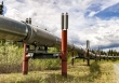 Giá gas hôm nay 2/1: Tăng mạnh ngày đầu năm