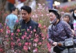 Diễn biến không khí lạnh từ nay đến Tết Nguyên đán 2024