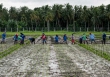 Giá gạo đạt mức cao nhất kể từ năm 2009, Philippines nhập 1 triệu tấn gạo từ Việt Nam mỗi năm 