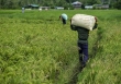Hội nghị thượng đỉnh WTO: Philippines đặt mục tiêu đạt được thỏa thuận về thủy sản và nông nghiệp