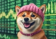 Một nhà đầu tư biến 310 USD thành 3,12 triệu USD sau 3 tháng từ memecoin Dogwiphat (WIF)
