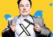 Elon Musk có thể sắp ra ứng dụng video cạnh tranh với YouTube