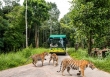 Siêu hot trải nghiệm 'nhập vai bảo mẫu nhí' cực hút khách tại Vinpearl Safari