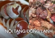 Đi chợ Tết đừng mua thịt, nội tạng động vật có dấu hiệu này vì dễ mua phải hàng đông lạnh ôi thiu, chứa 'ổ vi khuẩn' đáng sợ