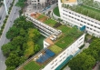 Trường liên cấp duy nhất vừa có học sinh lọt đội tuyển HSG Quốc gia, vừa lọt bảng xếp hạng điểm thi tốt nghiệp cao nhất Hà Nội! 