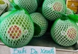 Bưởi da xanh Việt Nam bán ở Mỹ giá đến hơn 500.000 đồng/kg