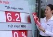 Chính sách tiền tệ của Ngân hàng Nhà nước được kỳ vọng duy trì xu hướng nới lỏng