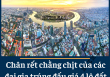 Quá trình tổ chức đấu giá đất ở một số nơi có hiện tượng như 'cò đấu giá', 'quân xanh - quân đỏ' lộng hành