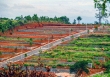 Xử nghiêm trường hợp san ủi đồi núi để phân lô, bán nền