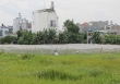 Giao đất, cho thuê đất, chuyển mục đích sử dụng đất là câu chuyện thu hút sự quan tâm