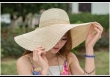 Tử vi tháng 7/2019 của 12 con giáp: tuổi Dậu đề phòng hao tốn tiền của, Hợi có tài vận biến động lớn. 