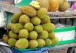 Mít tố nữ xuất xứ Bến Tre đắt hơn Đồng Nai 5.000 - 10.000 đồng/kg