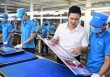 Asanzo chính thức khởi kiện, cáo buộc báo Tuổi Trẻ xuyên tạc sự thật